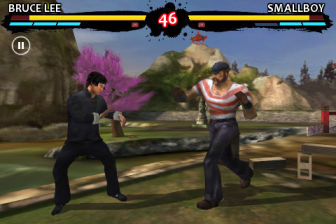bruce-lee-warrior