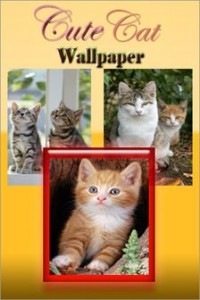 cute cat wallpaper_result