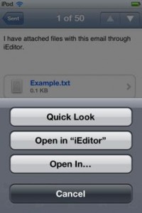 ieditor_result