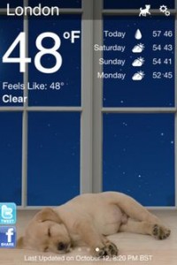 weather puppy_result