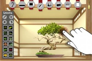 Bonsai Master_resultat