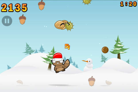 NoograNutsSeasons