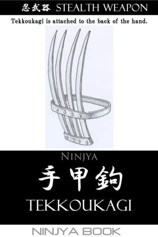 NinjaBook2