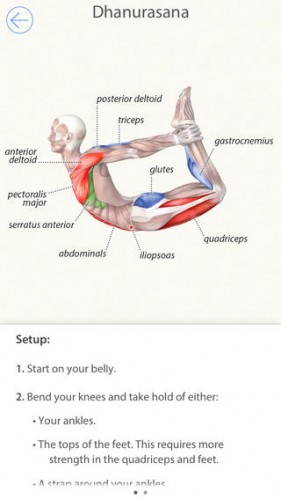 3DYogaAnatomy